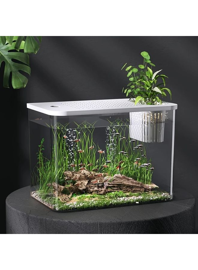 خزان أسماك حديث ذو غطاء أبيض مستطيل الشكل، حوض مائي مصنوع من مادة البولي إيثيلين المتينة، مناسب للمياه العذبة والمالحة. - Image 1